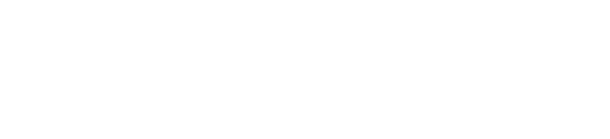 DIRTEC